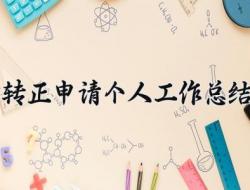 申请转正个人总结简短
