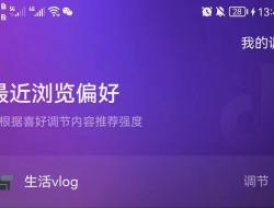 抖音偏好设置为什么没有