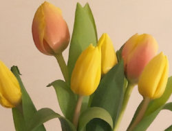 撩妹情话大全短句 追女孩情话最暖心短句