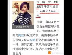 杨子晴(关于杨子晴个人资料)