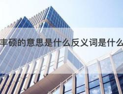 丰硕的意思和反义词