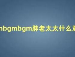 bgmbgmbgm肥婆网络流行语 bgmbgmbgm胖老太太什么意思