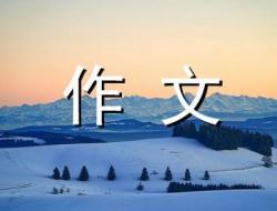 大学生飞踹女孩作文800字(从“女大学生飞踹4岁女童”说起)