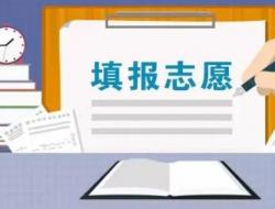 高考志愿填报十大加盟品牌 2024推荐品牌有哪些