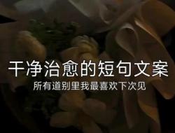 高质量文案短句干净治愈