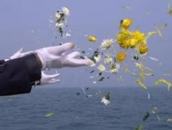 海葬是什么意思网络用语怎么说