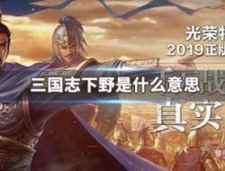 三国志战略版下野是什么意思