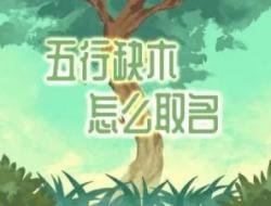 五行缺木最旺的微信名字 运气最好的网名