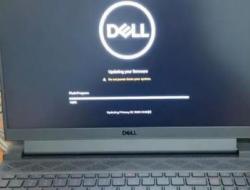 戴尔电脑显卡驱动怎么更新