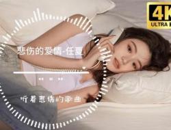 悲伤的爱情歌词表达什么 任夏好听的歌曲