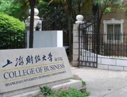上海金融大学有哪些学校？上海财大是211还是985？