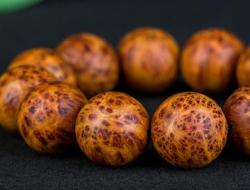 崖柏怎么辨别真假 崖柏怎么辨别真假鉴别