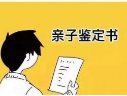 亲子鉴定可以做假的吗?亲子鉴定造假?绝对违法