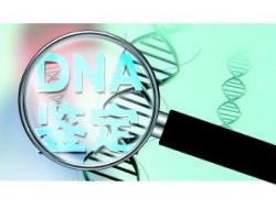 亲子鉴定需要什么材料