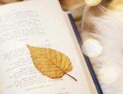 《卖油翁》文言文原文及词句注释