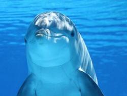 济南泉城海底世界门票多少钱？2024年3月价格