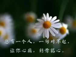 表达心里很难过的句子