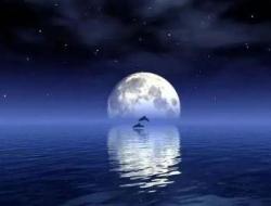 海底捞月和海底收山区别 是什么区别