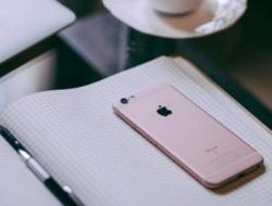 专升本的大学(专升本院校有哪些学校)