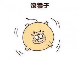滚犊子是骂人的意思吗 东北方言“八大犊子”意思