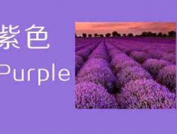 紫色的英语怎么读purple？48种颜色英语单词您都会读?