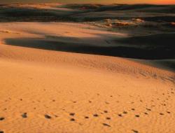 沙漠是怎么形成的及其原因 沙漠气候的气候特点