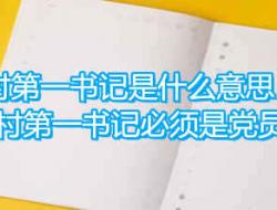 驻村第一书记是什么意思（必须是党员吗）