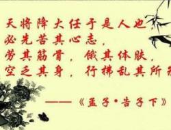 唯美温暖治愈系正能量句子文案