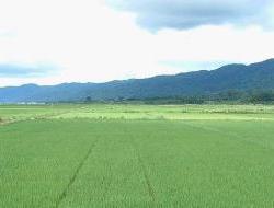 一亩地是几米x几米怎么算（一亩地是几米x几米）