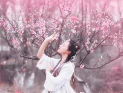 人面桃花相映红的上一句是什么？其完整句意思是什么？