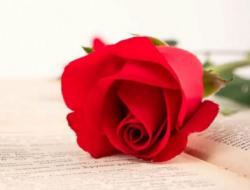 520情人节朋友圈最火文案_50句