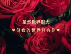 520最火文案（汇集35句）