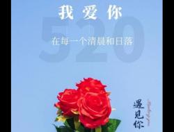 520最火文案（精选80句）