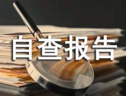 师德师风自查报告怎么写