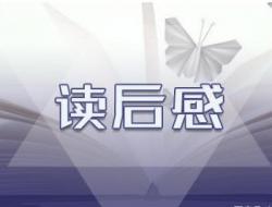 钢铁是怎样炼成的读后感