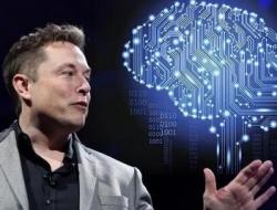 FSD是什么意思？特斯拉的FSD是什么？