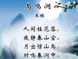 王维《鸟鸣涧》原文翻译赏析