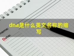 dna是什么英文名称的缩写