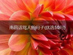 南昌话经典语录骂人(优选50句)