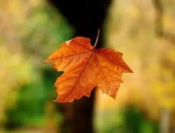 改过自新重新做人句子