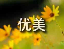 赞美五月的优美句子