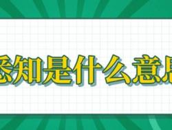请知悉是什么意思？请知悉一般是对谁说的？