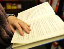 《捅马蜂窝》阅读答案小学