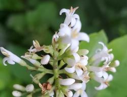 荆州市2024中考录取分数线是多少（荆州中学多少分可以进）