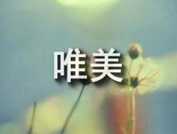 精彩优美的句子摘抄60句