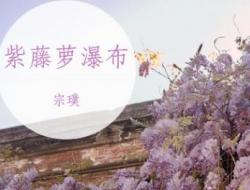 《紫藤萝瀑布》原文 作者简介