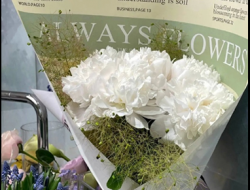 逗人开心又撩人的话 高情商撩人的句子