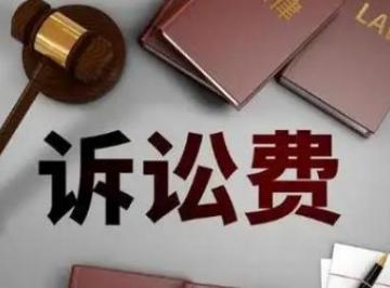 诉讼费一般由谁承担? 起诉的诉讼费谁出？