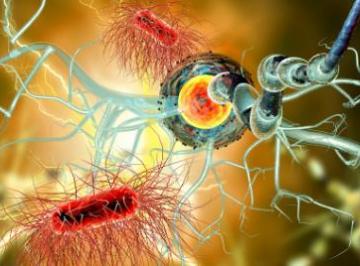 帕金森是什么病？帕金森病有什么症状？