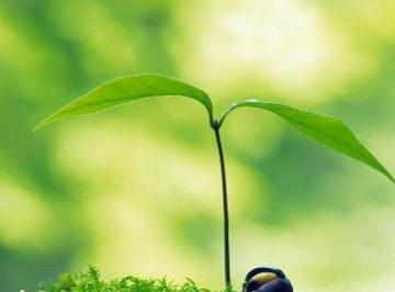 名人名言优美句子摘抄大全